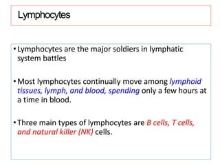 Lymphocytes
•Lymphocytes are the major soldiers in lymphatic
system battles
•Most lymphocytes continually move among lymphoid
tissues, lymph, and blood, spending only a few hours at
a time in blood.
•Three main types of lymphocytes are B cells, T cells,
and natural killer (NK) cells.
 