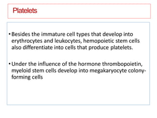 Platelets
•Besides the immature cell types that develop into
erythrocytes and leukocytes, hemopoietic stem cells
also differentiate into cells that produce platelets.
•Under the influence of the hormone thrombopoietin,
myeloid stem cells develop into megakaryocyte colony-
forming cells
 