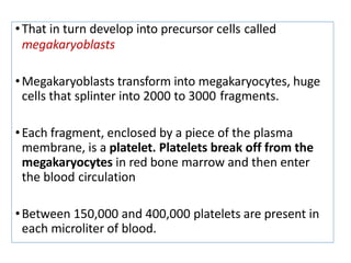 •That in turn develop into precursor cells called
megakaryoblasts
•Megakaryoblasts transform into megakaryocytes, huge
cells that splinter into 2000 to 3000 fragments.
•Each fragment, enclosed by a piece of the plasma
membrane, is a platelet. Platelets break off from the
megakaryocytes in red bone marrow and then enter
the blood circulation
•Between 150,000 and 400,000 platelets are present in
each microliter of blood.
 