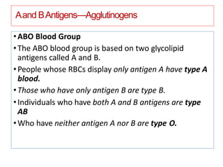 Aand BAntigens—Agglutinogens
•ABO Blood Group
•The ABO blood group is based on two glycolipid
antigens called A and B.
•People whose RBCs display only antigen A have type A
blood.
•Those who have only antigen B are type B.
•Individuals who have both A and B antigens are type
AB
•Who have neither antigen A nor B are type O.
 
