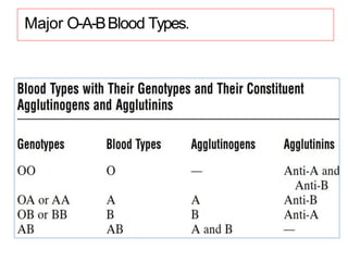 Major O-A-BBlood Types.
 