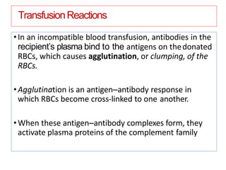 TransfusionReactions
•In an incompatible blood transfusion, antibodies in the
recipient’s plasma bind to the antigens on thedonated
RBCs, which causes agglutination, or clumping, of the
RBCs.
•Agglutination is an antigen–antibody response in
which RBCs become cross-linked to one another.
•When these antigen–antibody complexes form, they
activate plasma proteins of the complement family
 