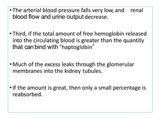 renal
•The arterial blood pressure falls very low, and
blood ﬂow and urine outputdecrease.
•Third, if the total amount of free hemoglobin released
into the circulating blood is greater than the quantity
that canbind with “haptoglobin”
•Much of the excess leaks through the glomerular
membranes into the kidney tubules.
•If the amount is great, then only a small percentage is
reabsorbed.
 