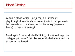 Blood Clotting
•When a blood vessel is injured, a number of
physiological mechanisms are activated that promote
hemostasis, or the cessation of bleeding ( hemo =
blood; stasis = standing)
•Breakage of the endothelial lining of a vessel exposes
collagen proteins from the subendothelial connective
tissue to the blood
 