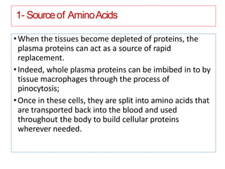 1- Sourceof AminoAcids
•When the tissues become depleted of proteins, the
plasma proteins can act as a source of rapid
replacement.
•Indeed, whole plasma proteins can be imbibed in to by
tissue macrophages through the process of
pinocytosis;
•Once in these cells, they are split into amino acids that
are transported back into the blood and used
throughout the body to build cellular proteins
wherever needed.
 