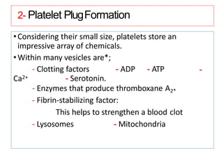 2- Platelet PlugFormation
•Considering their small size, platelets store an
impressive array of chemicals.
•Within many vesicles are*;
-
Ca2+
- Clotting factors - ADP - ATP
- Serotonin.
- Enzymes that produce thromboxane A2*
- Fibrin-stabilizing factor:
This helps to strengthen a blood clot
- Lysosomes - Mitochondria
 