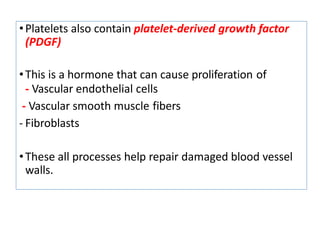 •Platelets also contain platelet-derived growth factor
(PDGF)
•This is a hormone that can cause proliferation of
- Vascular endothelial cells
- Vascular smooth muscle fibers
- Fibroblasts
•These all processes help repair damaged blood vessel
walls.
 