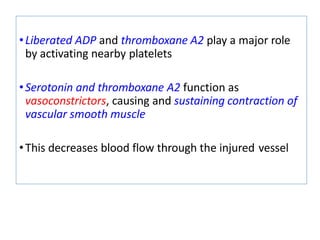 •Liberated ADP and thromboxane A2 play a major role
by activating nearby platelets
•Serotonin and thromboxane A2 function as
vasoconstrictors, causing and sustaining contraction of
vascular smooth muscle
•This decreases blood flow through the injured vessel
 