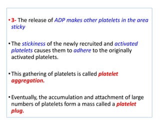•3- The release of ADP makes other platelets in the area
sticky
•The stickiness of the newly recruited and activated
platelets causes them to adhere to the originally
activated platelets.
•This gathering of platelets is called platelet
aggregation.
•Eventually, the accumulation and attachment of large
numbers of platelets form a mass called a platelet
plug.
 