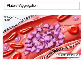 Platelet Aggregation
 