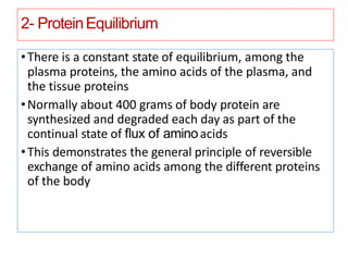 2- ProteinEquilibrium
•There is a constant state of equilibrium, among the
plasma proteins, the amino acids of the plasma, and
the tissue proteins
•Normally about 400 grams of body protein are
synthesized and degraded each day as part of the
continual state of ﬂux of aminoacids
•This demonstrates the general principle of reversible
exchange of amino acids among the different proteins
of the body
 
