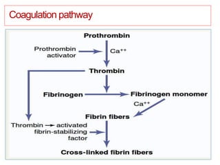 Coagulation pathway
 