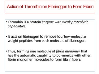 Action of Thrombin on Fibrinogen to FormFibrin
•Thrombin is a protein enzyme with weak proteolytic
capabilities.
•It acts on ﬁbrinogen to remove fourlow-molecular
weight peptides from each molecule of ﬁbrinogen,
•Thus, forming one molecule of ﬁbrin monomer that
has the automatic capability to polymerize with other
ﬁbrin monomer molecules to form ﬁbrinﬁbers.
 