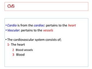 CVS
•Cardio is from the cardiac: pertains to the heart
•Vascular: pertains to the vessels
• The cardiovascular system consists of;
1- The heart
2 Blood vessels
3 Blood
 