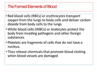 TheFormed Elementsof Blood
•Red blood cells (RBCs) or erythrocytes transport
oxygen from the lungs to body cells and deliver carbon
dioxide from body cells to the lungs
•White blood cells (WBCs) or leukocytes protect the
body from invading pathogens and other foreign
substances
•Platelets are fragments of cells that do not have a
nucleus.
•They release chemicals that promote blood clotting
when blood vessels are damaged
 
