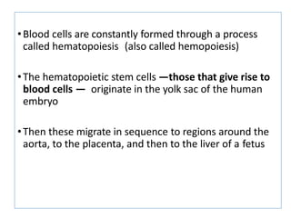 •Blood cells are constantly formed through a process
called hematopoiesis (also called hemopoiesis)
•The hematopoietic stem cells —those that give rise to
blood cells — originate in the yolk sac of the human
embryo
•Then these migrate in sequence to regions around the
aorta, to the placenta, and then to the liver of a fetus
 