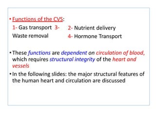 • Functions of the CVS:
1- Gas transport 3-
Waste removal
2- Nutrient delivery
4- Hormone Transport
•These functions are dependent on circulation of blood,
which requires structural integrity of the heart and
vessels
•In the following slides: the major structural features of
the human heart and circulation are discussed
 