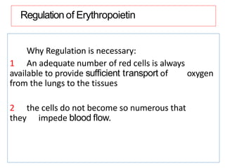 Regulation of Erythropoietin
Why Regulation is necessary:
1 An adequate number of red cells is always
available to provide sufﬁcient transport of oxygen
from the lungs to the tissues
2 the cells do not become so numerous that
they impede blood ﬂow.
 