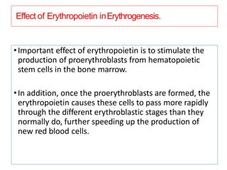 Effect of Erythropoietin inErythrogenesis.
•Important effect of erythropoietin is to stimulate the
production of proerythroblasts from hematopoietic
stem cells in the bone marrow.
•In addition, once the proerythroblasts are formed, the
erythropoietin causes these cells to pass more rapidly
through the different erythroblastic stages than they
normally do, further speeding up the production of
new red blood cells.
 