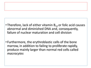 •Therefore, lack of either vitamin B12 or folic acid causes
abnormal and diminished DNA and, consequently,
failure of nuclear maturation and cell division
•Furthermore, the erythroblastic cells of the bone
marrow, in addition to failing to proliferate rapidly,
produce mainly larger than normal red cells called
macrocytes
 