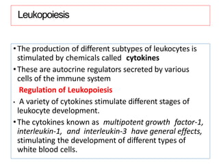 Leukopoiesis
•The production of different subtypes of leukocytes is
stimulated by chemicals called cytokines
•These are autocrine regulators secreted by various
cells of the immune system
Regulation of Leukopoiesis
• A variety of cytokines stimulate different stages of
leukocyte development.
•The cytokines known as multipotent growth factor-1,
interleukin-1, and interleukin-3 have general effects,
stimulating the development of different types of
white blood cells.
 