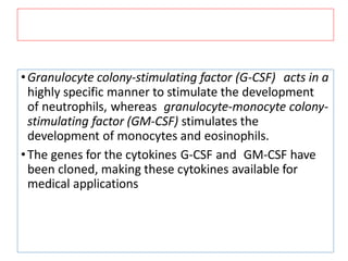 •Granulocyte colony-stimulating factor (G-CSF) acts in a
highly specific manner to stimulate the development
of neutrophils, whereas granulocyte-monocyte colony-
stimulating factor (GM-CSF) stimulates the
development of monocytes and eosinophils.
•The genes for the cytokines G-CSF and GM-CSF have
been cloned, making these cytokines available for
medical applications
 