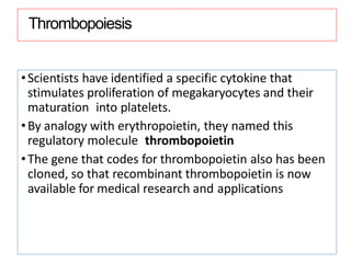 Thrombopoiesis
•Scientists have identified a specific cytokine that
stimulates proliferation of megakaryocytes and their
maturation into platelets.
•By analogy with erythropoietin, they named this
regulatory molecule thrombopoietin
•The gene that codes for thrombopoietin also has been
cloned, so that recombinant thrombopoietin is now
available for medical research and applications
 