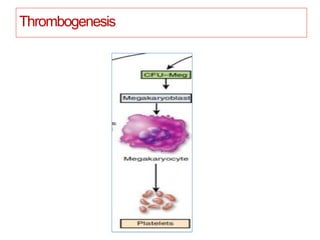 Thrombogenesis
 