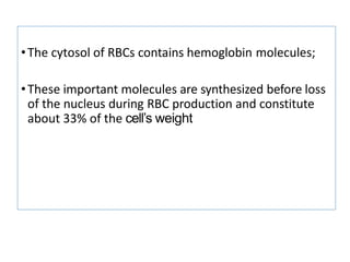 •The cytosol of RBCs contains hemoglobin molecules;
•These important molecules are synthesized before loss
of the nucleus during RBC production and constitute
about 33% of the cell’s weight
 