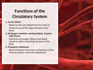 The Cardiovascular System: Blood Vessels | PPTX