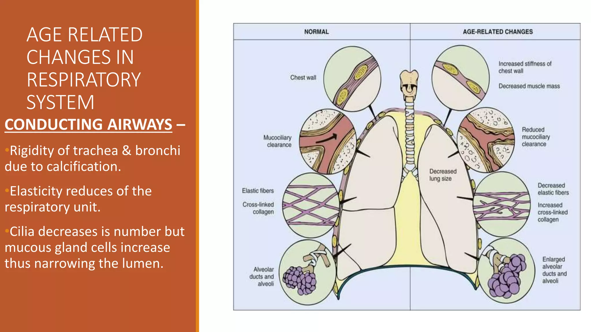 Age Related Changes in Cardiovascular System | PPTX