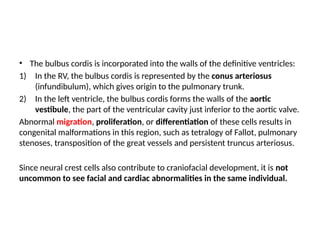 CVS DEVELOPMENt pptx for med students of all years | PPTX
