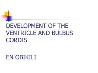 DEVELOPMENT OF THE
VENTRICLE AND BULBUS
CORDIS
EN OBIKILI
 