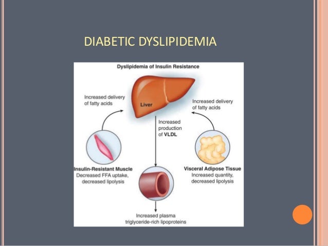 Coronary Heart Disease Diet Advice For Diabetics