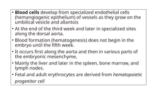 • Blood cells develop from specialized endothelial cells
(hemangiogenic epithelium) of vessels as they grow on the
umbilical vesicle and allantois
• At the end of the third week and later in specialized sites
along the dorsal aorta.
• Blood formation (hematogenesis) does not begin in the
embryo until the fifth week.
• It occurs first along the aorta and then in various parts of
the embryonic mesenchyme,
• Mainly the liver and later in the spleen, bone marrow, and
lymph nodes.
• Fetal and adult erythrocytes are derived from hematopoietic
progenitor cell
 