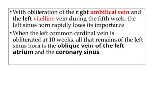 •With obliteration of the right umbilical vein and
the left vitelline vein during the fifth week, the
left sinus horn rapidly loses its importance
•When the left common cardinal vein is
obliterated at 10 weeks, all that remains of the left
sinus horn is the oblique vein of the left
atrium and the coronary sinus
 