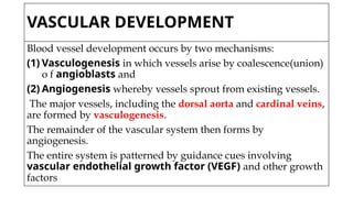 VASCULAR DEVELOPMENT
Blood vessel development occurs by two mechanisms:
(1) Vasculogenesis in which vessels arise by coalescence(union)
o f angioblasts and
(2) Angiogenesis whereby vessels sprout from existing vessels.
The major vessels, including the dorsal aorta and cardinal veins,
are formed by vasculogenesis.
The remainder of the vascular system then forms by
angiogenesis.
The entire system is patterned by guidance cues involving
vascular endothelial growth factor (VEGF) and other growth
factors
 
