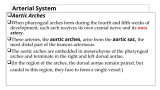 Arterial System
Aortic Arches
When pharyngeal arches form during the fourth and fifth weeks of
development, each arch receives its own cranial nerve and its own
artery.
These arteries, the aortic arches, arise from the aortic sac, the
most distal part of the truncus arteriosus.
The aortic arches are embedded in mesenchyme of the pharyngeal
arches and terminate in the right and left dorsal aortae.
(In the region of the arches, the dorsal aortae remain paired, but
caudal to this region, they fuse to form a single vessel.)
 