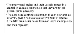 •The pharyngeal arches and their vessels appear in a
cranial-to-caudal sequence, so that they are not all
present simultaneously.
•The aortic sac contributes a branch to each new arch as
it forms, giving rise to a total of five pairs of arteries.
(The fifth arch either never forms or forms incompletely
and then regresses
 