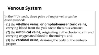 Venous System
In the fifth week, three pairs o f major veins can be
distinguished:
• (1) the vitelline veins, or omphalomesenteric veins,
carrying blood from the yolk sac to the sinus venosus;
• (2) the umbilical veins, originating in the chorionic villi and
carrying oxygenated blood to the embryo; and
• (3) the cardinal veins, draining the body of the embryo
proper
 