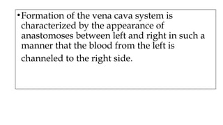 •Formation of the vena cava system is
characterized by the appearance of
anastomoses between left and right in such a
manner that the blood from the left is
channeled to the right side.
 