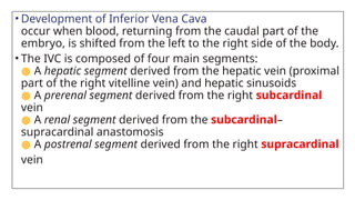 • Development of Inferior Vena Cava
occur when blood, returning from the caudal part of the
embryo, is shifted from the left to the right side of the body.
• The IVC is composed of four main segments:
● A hepatic segment derived from the hepatic vein (proximal
part of the right vitelline vein) and hepatic sinusoids
● A prerenal segment derived from the right subcardinal
vein
● A renal segment derived from the subcardinal–
supracardinal anastomosis
● A postrenal segment derived from the right supracardinal
vein
 