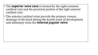 • The superior vena cava is formed by the right common
cardinal vein and the proximal portion of the right anterior
cardinal vein.
• The anterior cardinal veins provide the primary venous
drainage of the head during the fourth week of development
and ultimately form the internal jugular veins
 