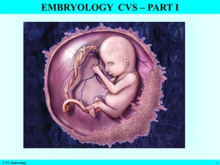 EMBRYOLOGY CVS – PART I

CVS Embryology

1

 