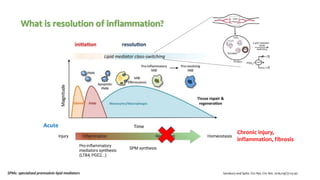 Inflammation and Vascular Damage in Hypertension | PDF