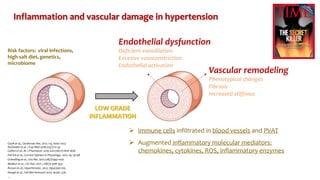 Inflammation and Vascular Damage in Hypertension | PDF