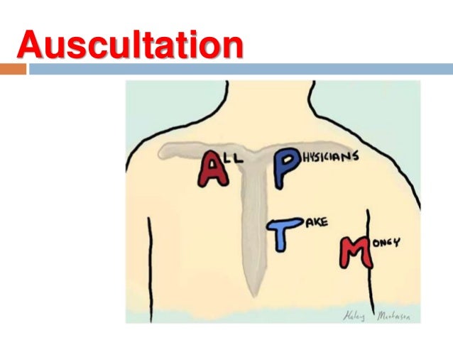 Percussion And Auscultation Of Cardiovascular System