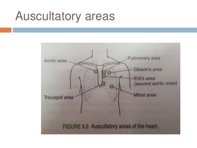 usmle practice test auscultation vsd usmle practice test auscultation vsd