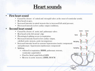 Cardiopulmonary System.pdf functional assessment and physical examination of the cardiovascular ...