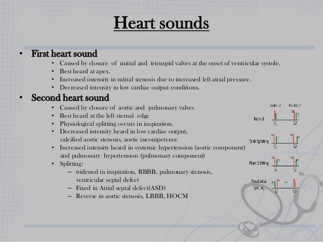 Functional assessment and physical examination of the cardiovascular